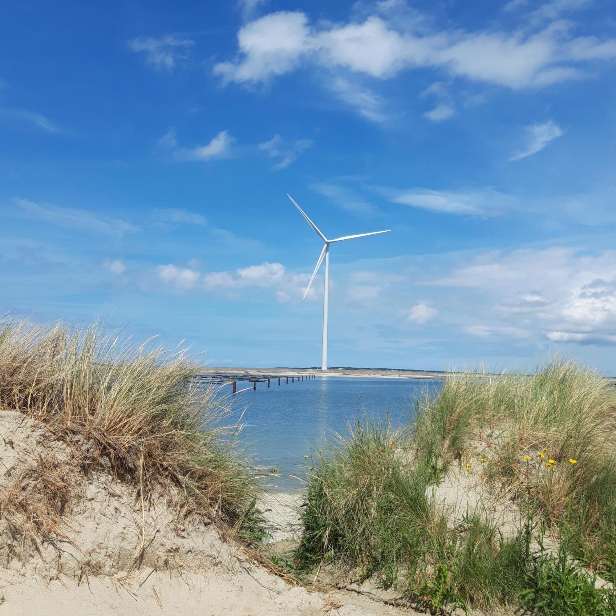 Slapen Aan De Voet De Molen Holiday home